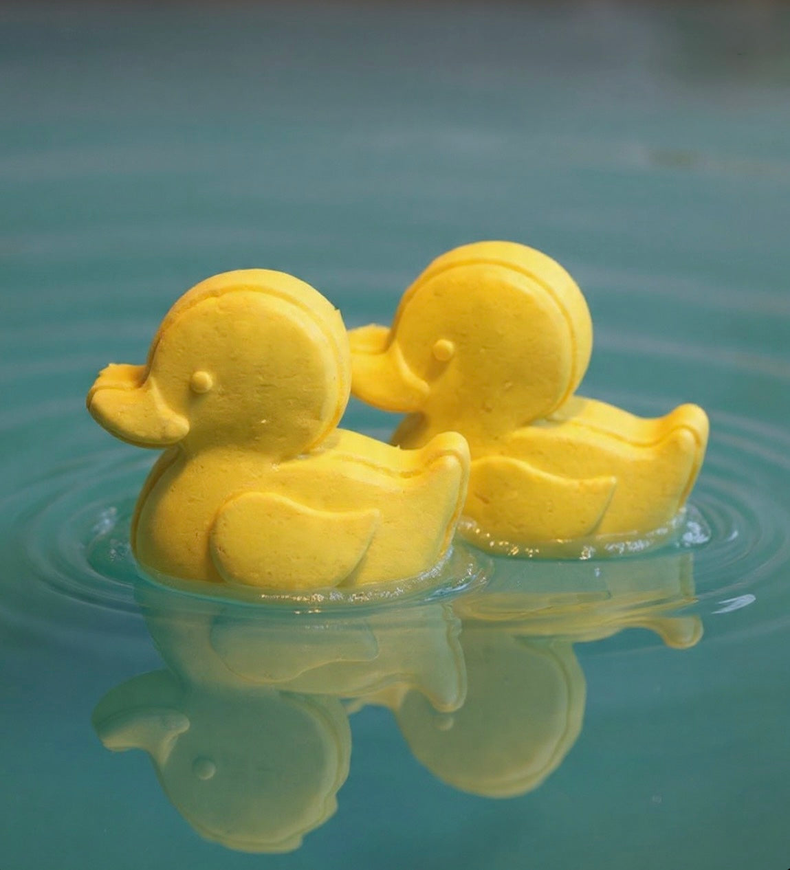 Quack Quack